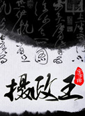 摄政王的小闲妻